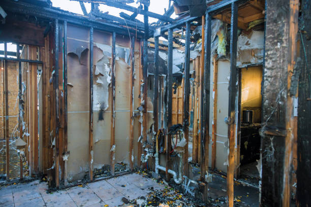 Professional Fire Damage Removal technician working in Mondovi, WI